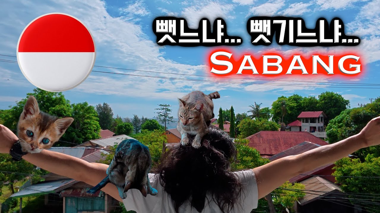 고양이 섬에서 밥 먹기 ( 난이도: 헬🔥 ) 🇮🇩 사방 섬