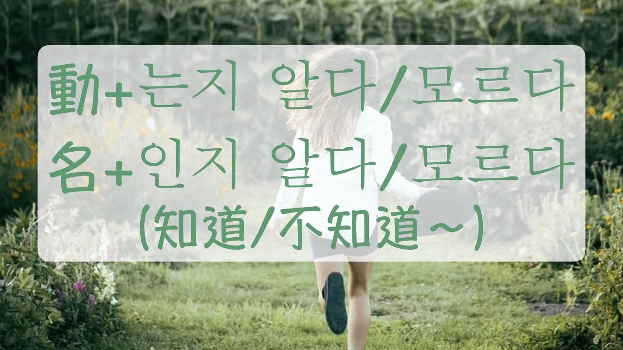 韓語教學 你知道suji喜歡什麼嗎？ 動+는지 알다/모르다, 名+인지 알다/모르다 韓文教學 韓文文法 韓文句子