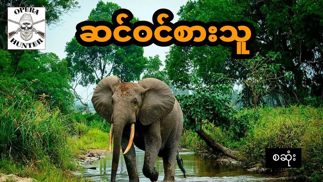 ဆင်ဝင်စားတဲ့လူ - စဆုံး