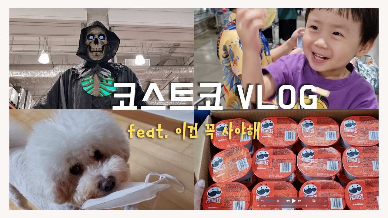 [vlog] 코스트코 이건 꼭 알고가세요 ⚠️ /  코스트코 추천템👍  /  멤버십 가입 방법 /  코스트코 브이로그