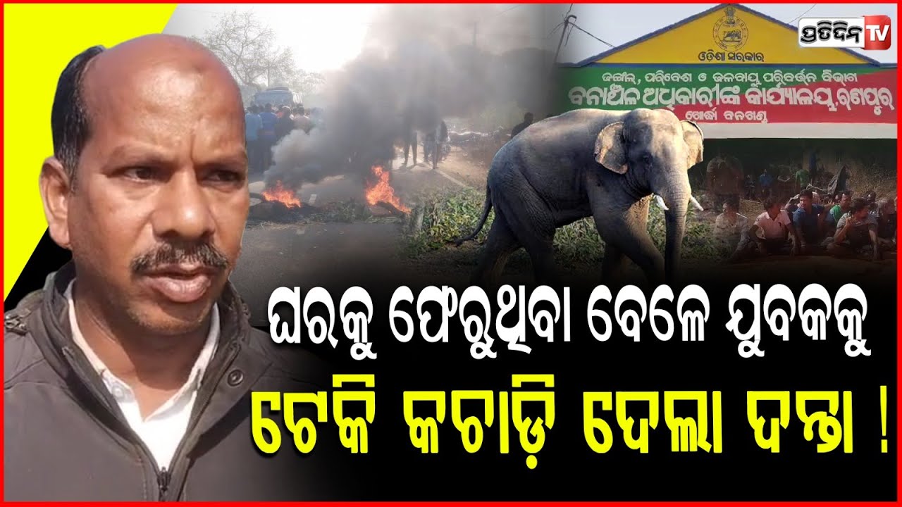 ଘରକୁ ଫେରୁଥିବା ବେଳେ, ଯୁବକକୁ ଟେକି କଚାଡ଼ି ଦେଲା ଦନ୍ତା ! Youth death in Elephant Attack , Khordha