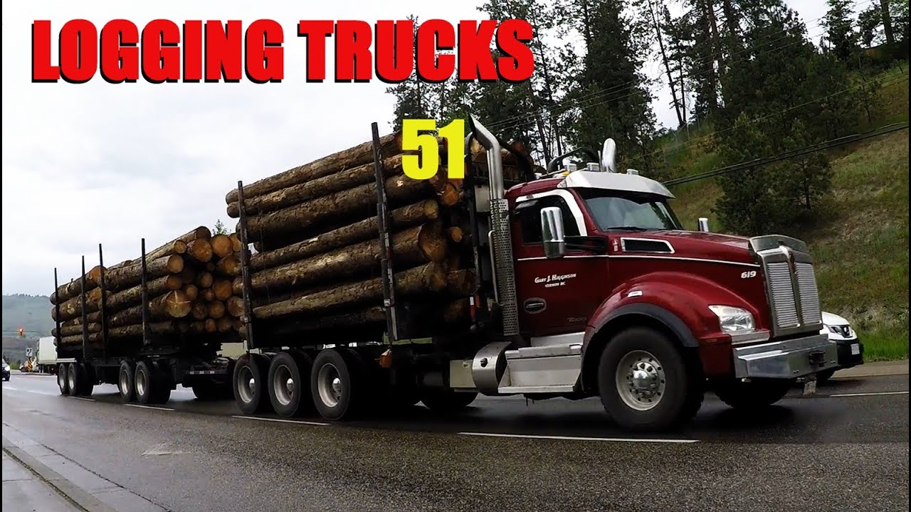 LOGGING TRUCKS #51 -- Tri-Drive Quad Wagons & Super-B Units Spotted / Wet Fall Weather / Chip Trucks