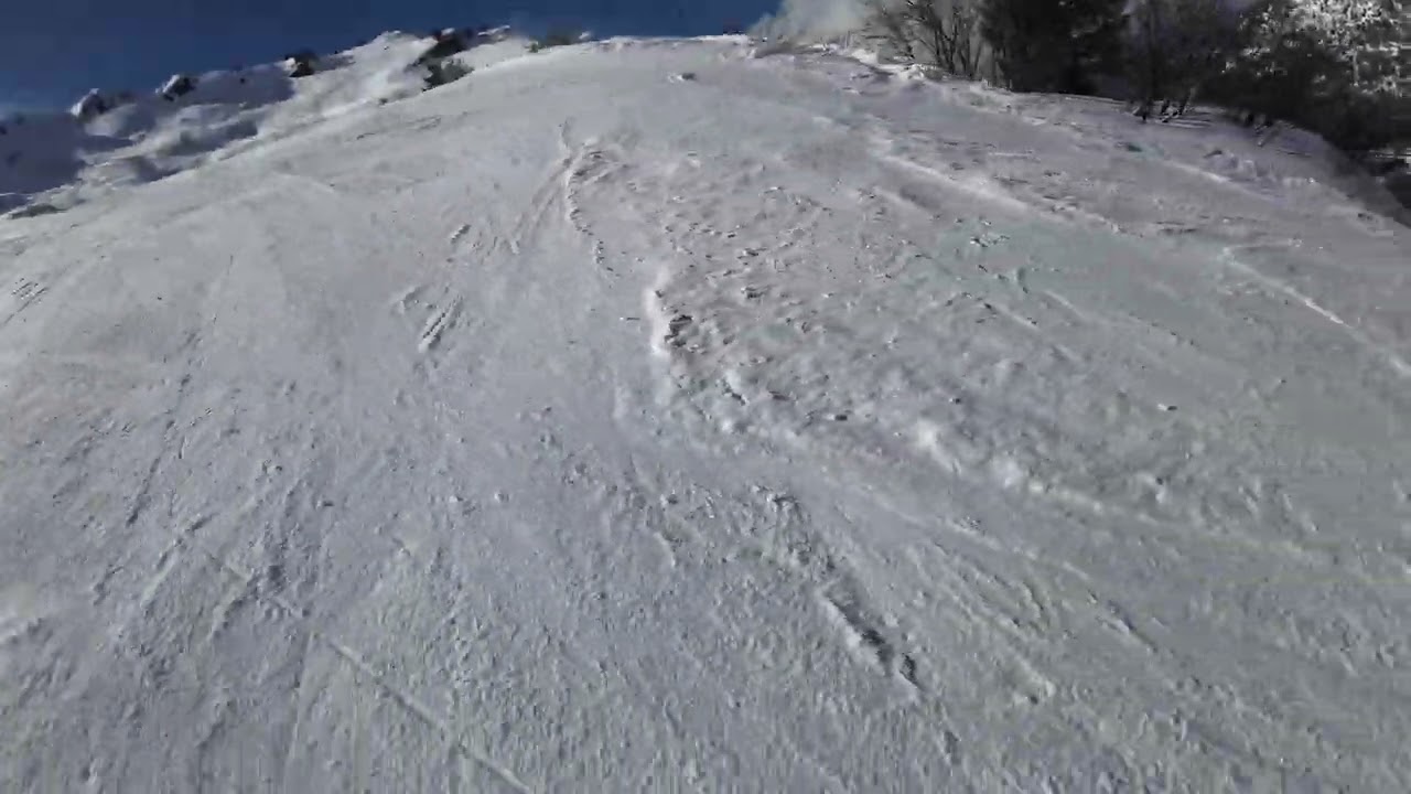 Praz de Lys/Sommand: Velard, black