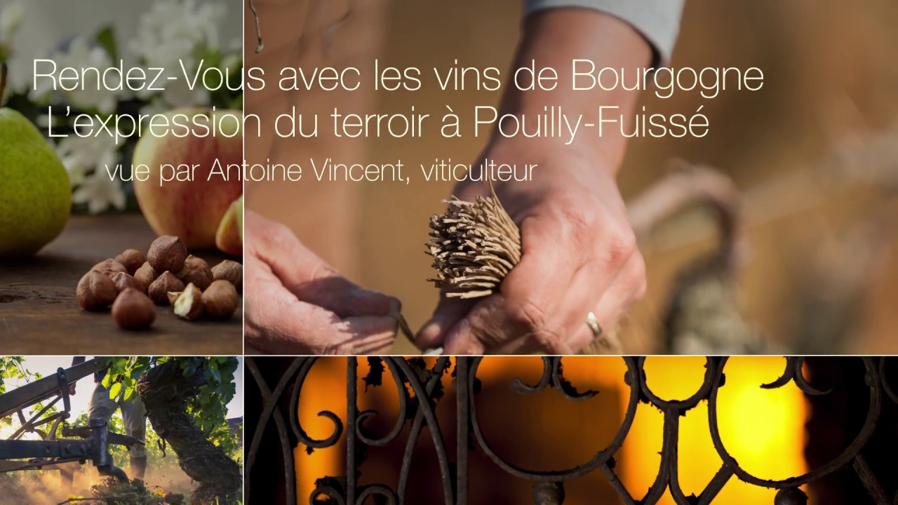 Pouilly-Fuissé, vue par Antoine Vincent