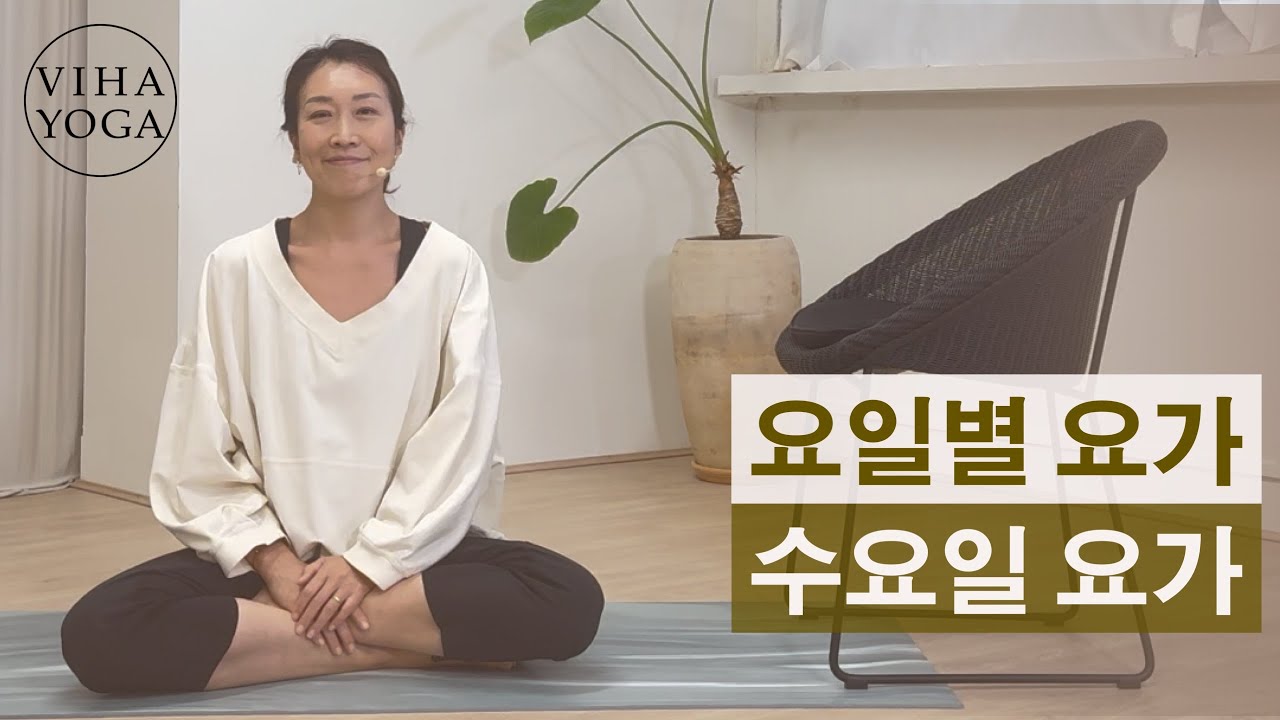 요일별요가 / 수요일요가 / 이완요가 / 의자요가 / 비하요가