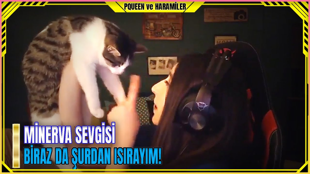Pqueen - Minerva Sevgisi!