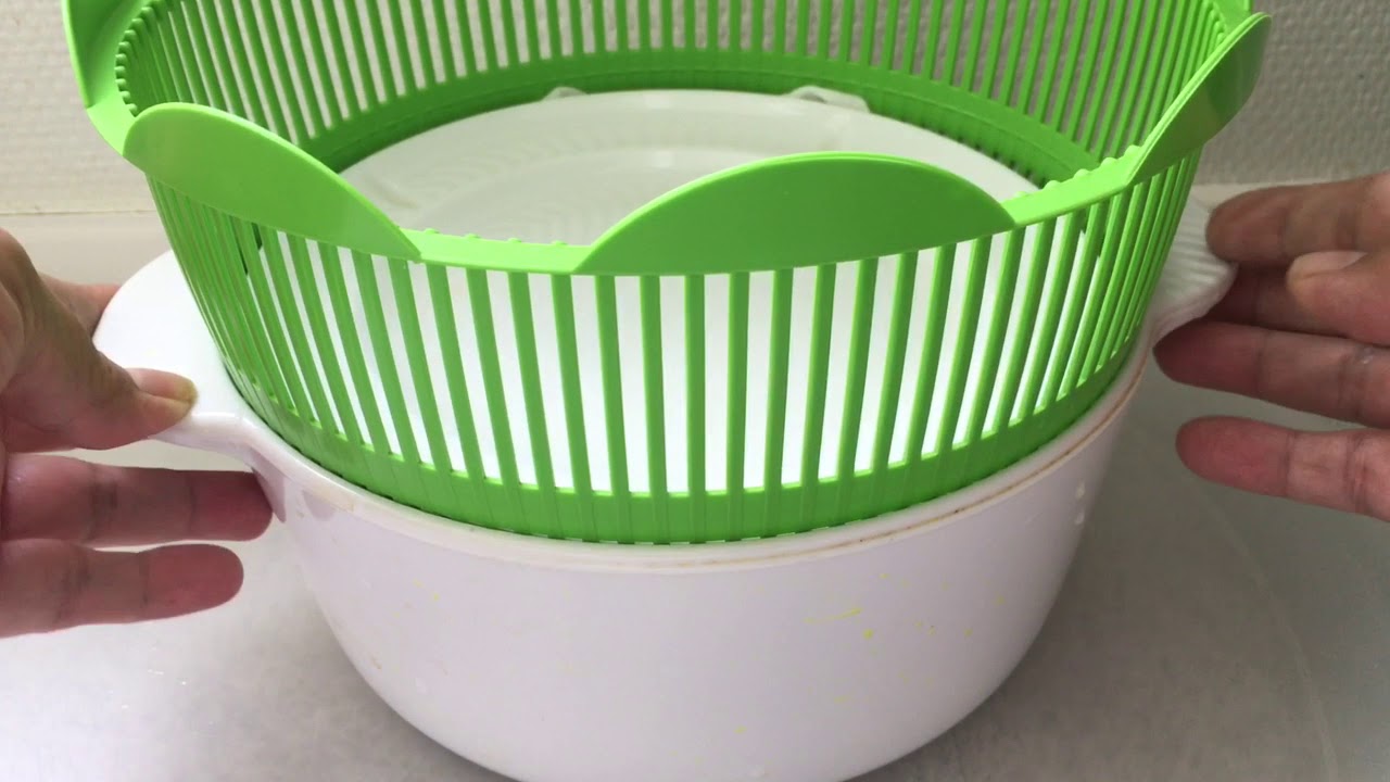 Germinado de frijol mung o chino