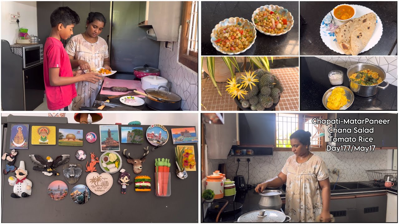 Learning Something New Every Day/சப்பாத்திமட்டர்பன்னீர்,தக்காளி சோறு,கொண்டைக்கடலை #food #cooking#day