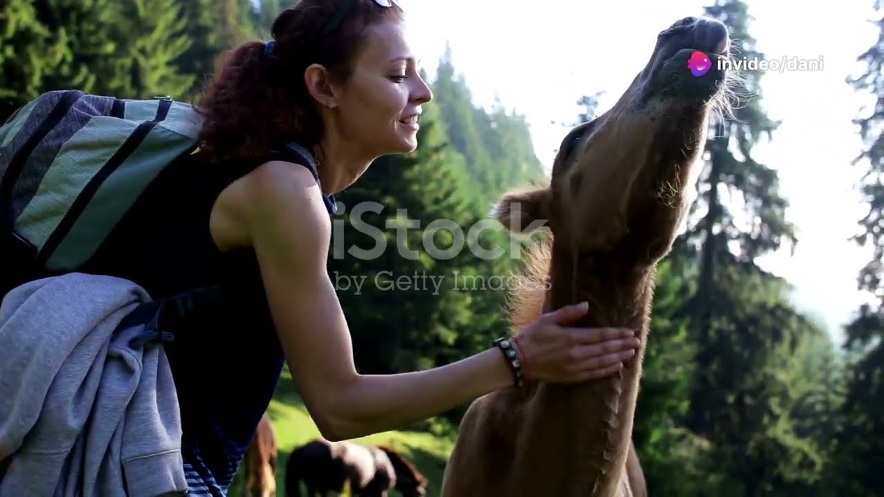 🌲Top 10 Essential Tips for Staying Safe in the Wild🌲