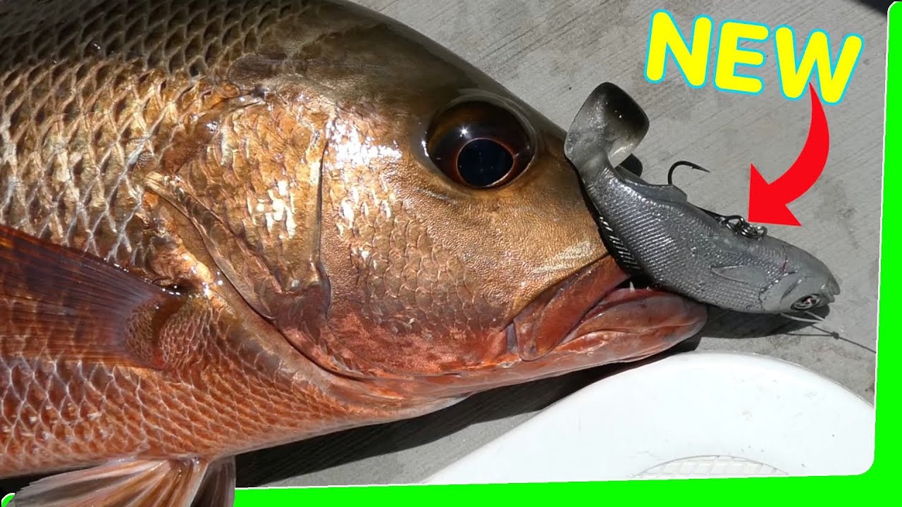 Solo 2 day overnight - Fishing challenge with Real Baitz - Catch and Cook - EP.573