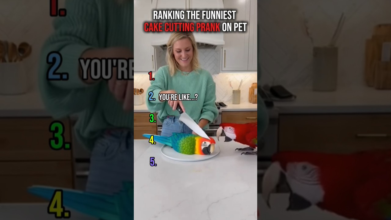 Ranking cake cutting prank on pet 🐶