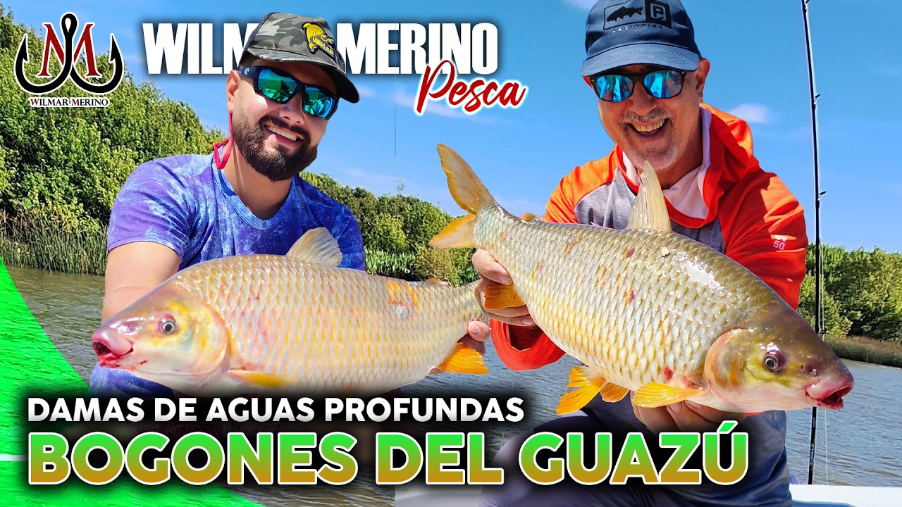 Febrero de Bogas grandes en el Paran&aacute; Guaz&uacute; | Pesca con Wilmar Merino