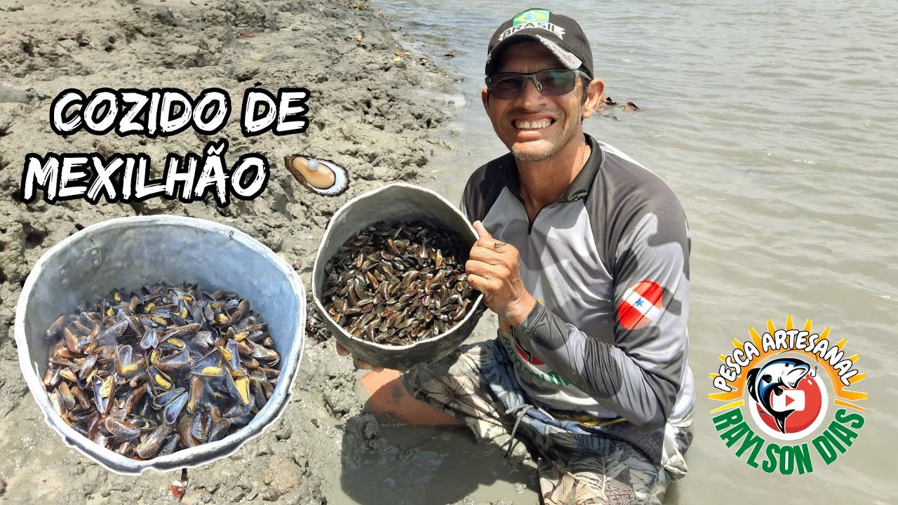 Temporada do Mexilhão (marisco) no rio Pirabas-PA 🇧🇷 fizemos um COZIDO 🦪☺️