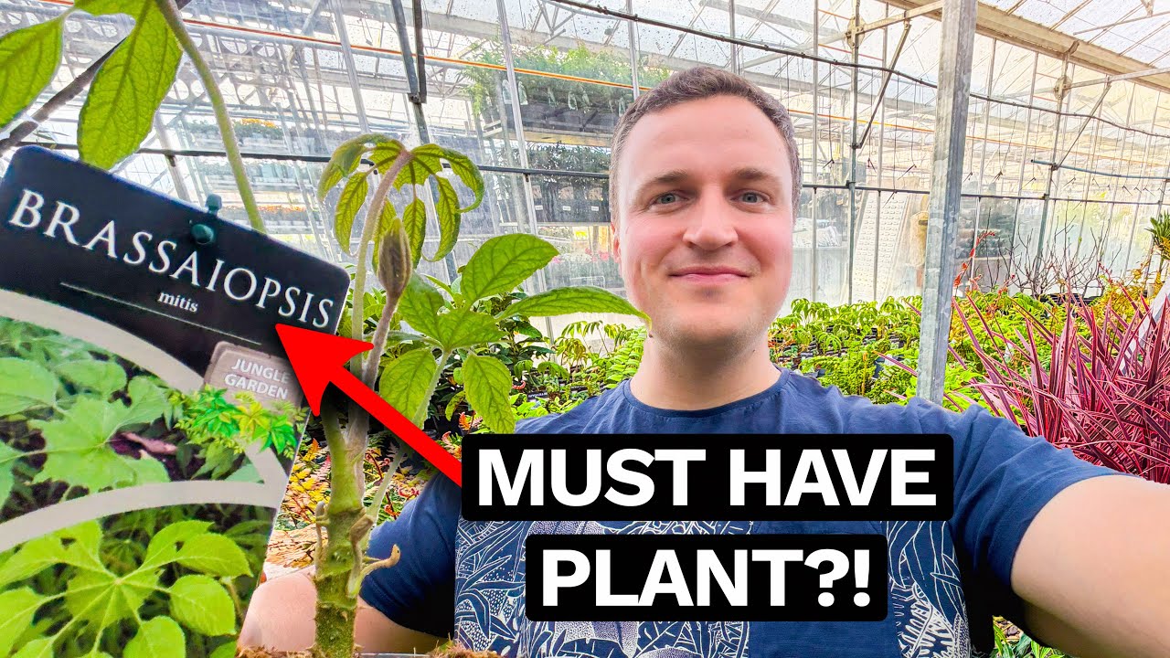 UK Jungle Plant Haul 🌴 Adding Some Special Exotics to the Garden&hellip;