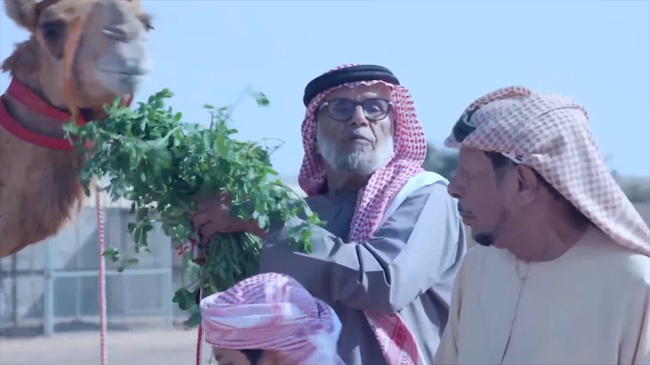 شواهين ام السيوف | هيثم الحمادي
