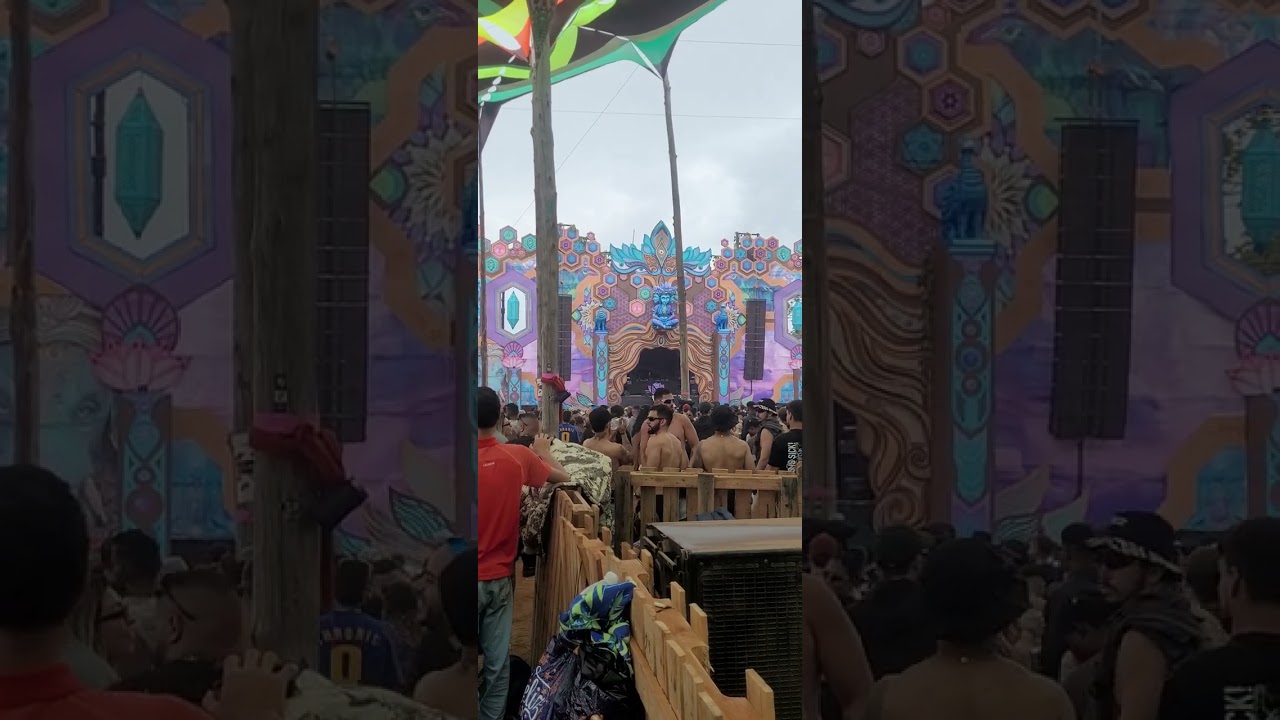 Arvore da Vida 2025 - Liquid Soul