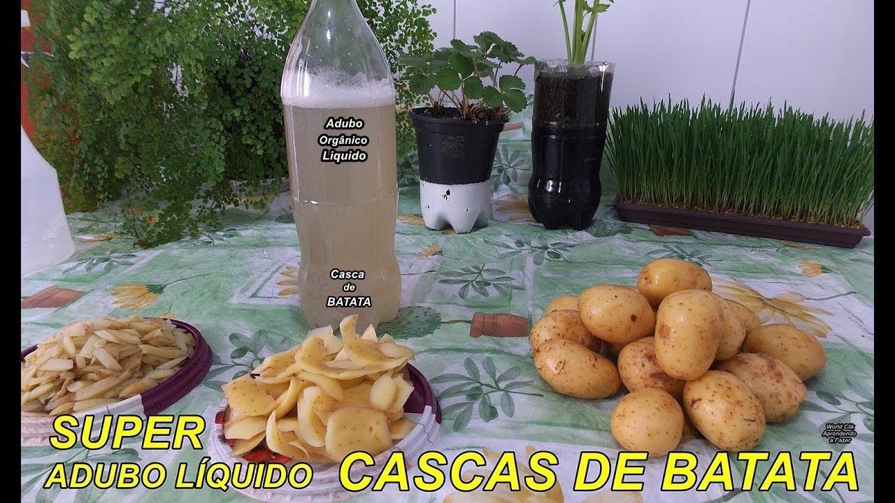 Super Adubo Orgânico com Casca de Batata