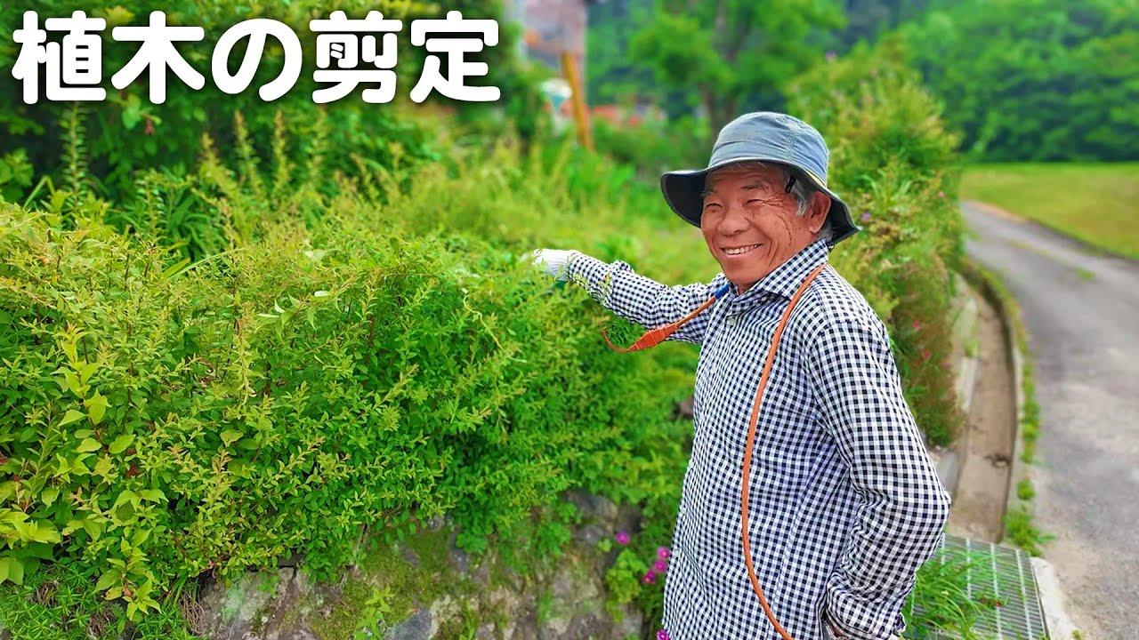 【田舎暮らし】お花が大好きな夫婦が植木の剪定をしてきました！【山口県のvlog】