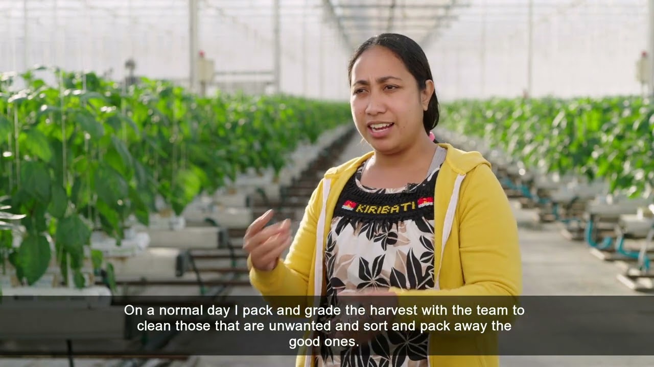 Move from Kiribati to New Zealand - Working hard