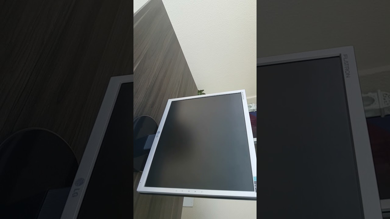 Monitor LG L1753T