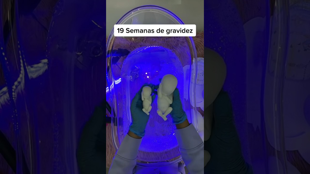 19 semanas de gestação