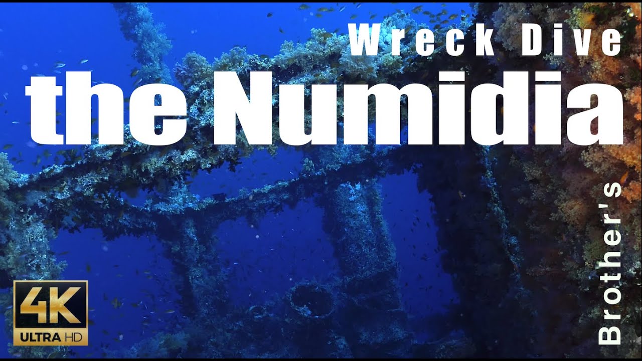 Wreck Dive Red Sea/Mer Rouge - Plongée sur l'épave du Numidia et les Iles Brothers - 4k - #5