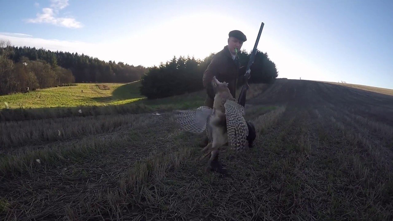 Mini Driven Pheasant Shoot, Seafield Estate, Cullen 2018