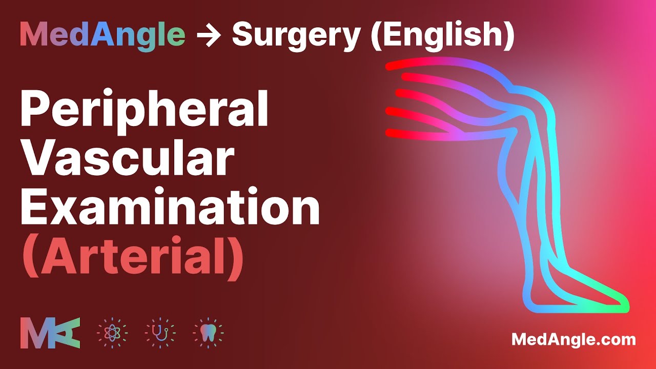 Peripheral Vascular Exam (Arterial) - MedAngle Surgery (English)