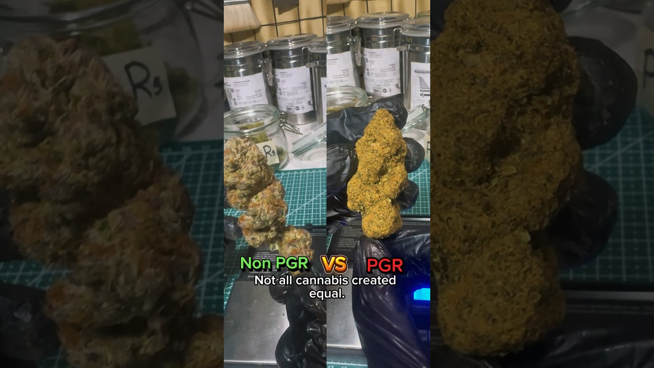 PGRs vs Non-PGRs _Grow4u #Grow4u #plantgrowthregulator