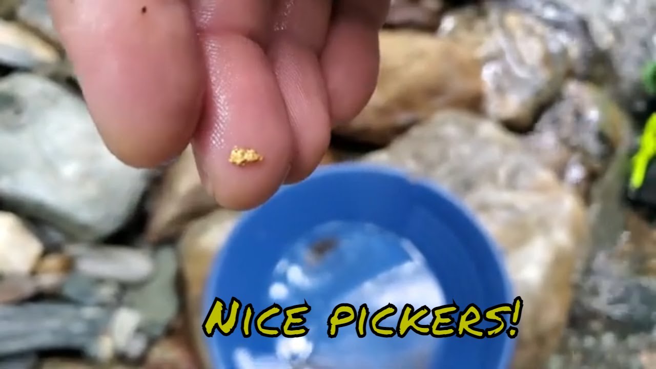 gold panning In Vermont. Nice gold in the middle of summer