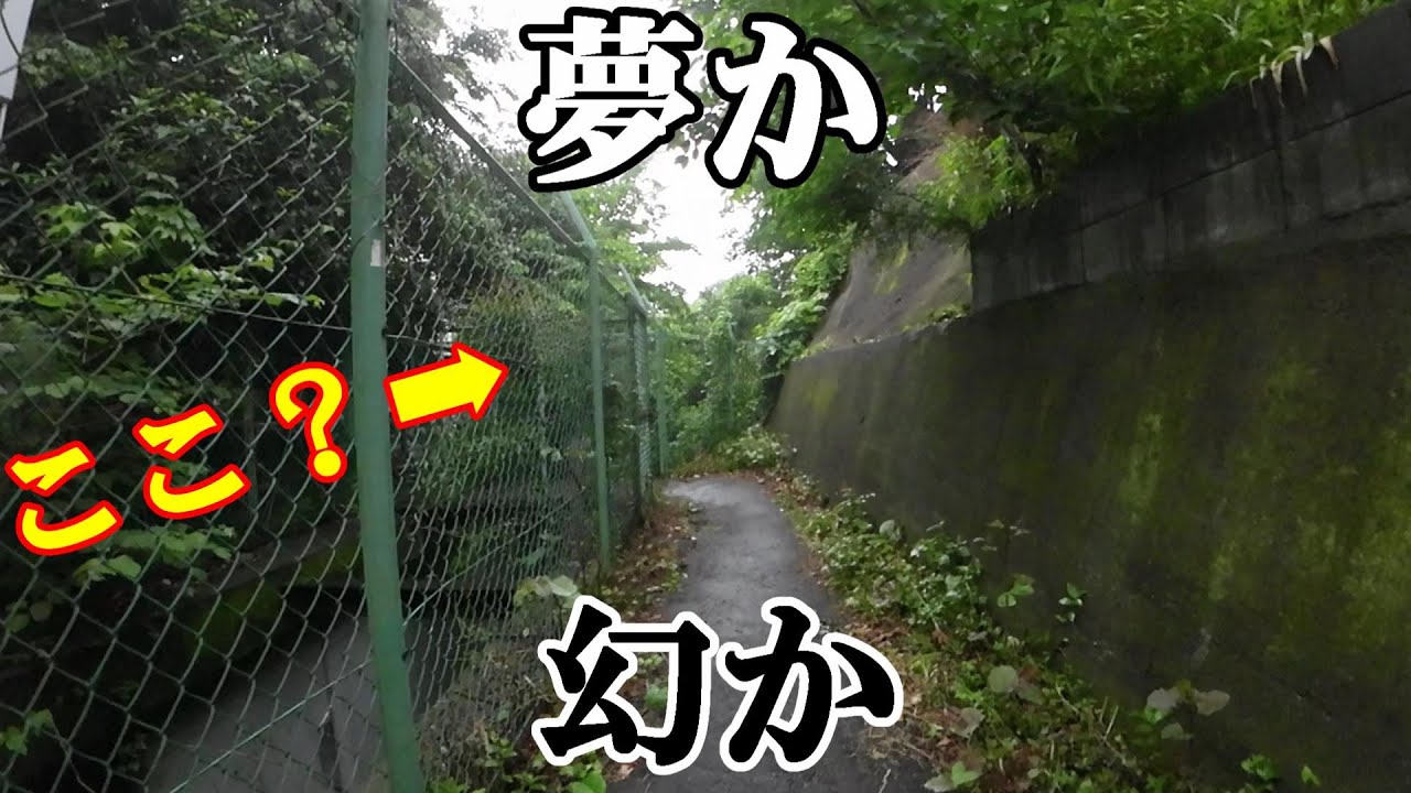 目久尻川の幻の源流を探してみた