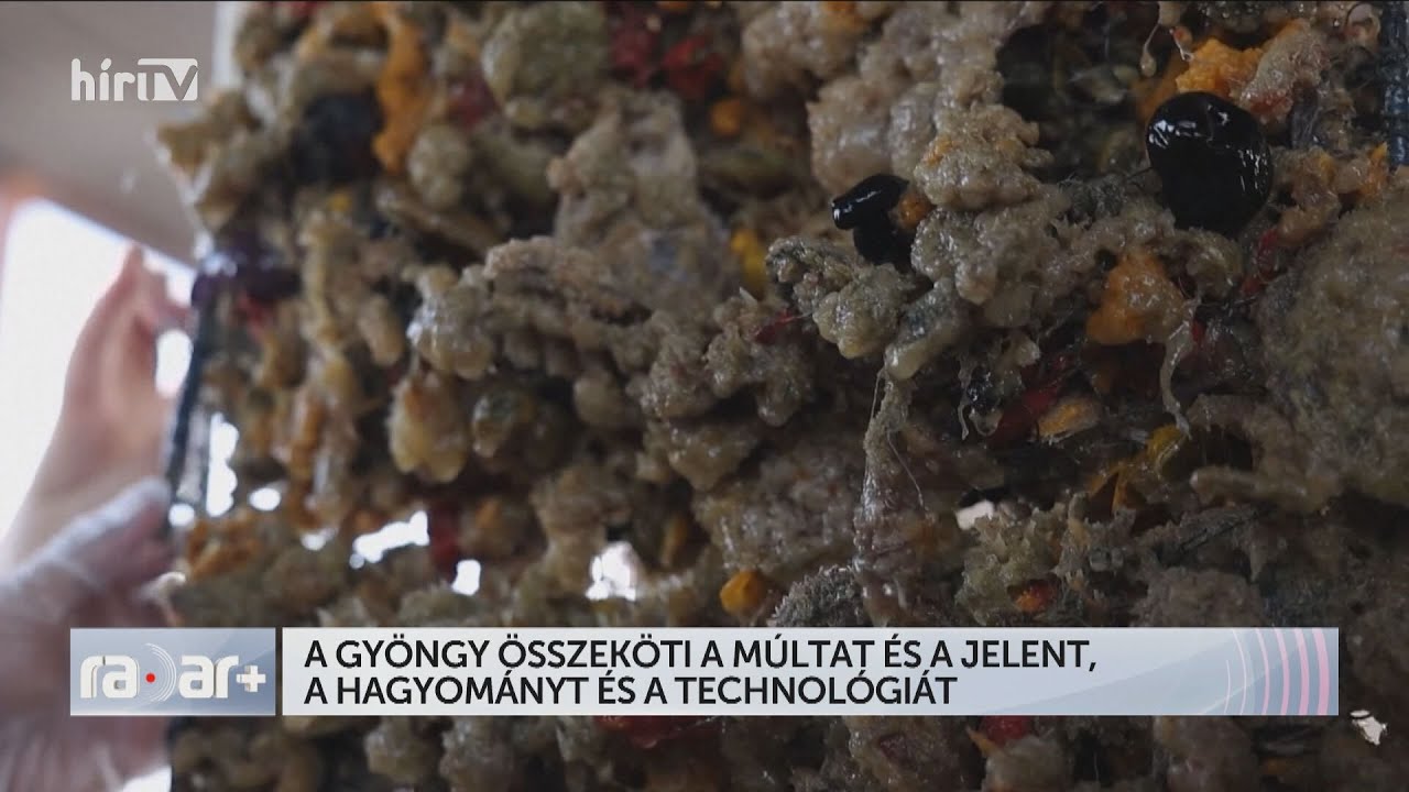 A gyöngy összeköti a múltat és a jelent, a hagyományt és a technológiát - HÍR TV+