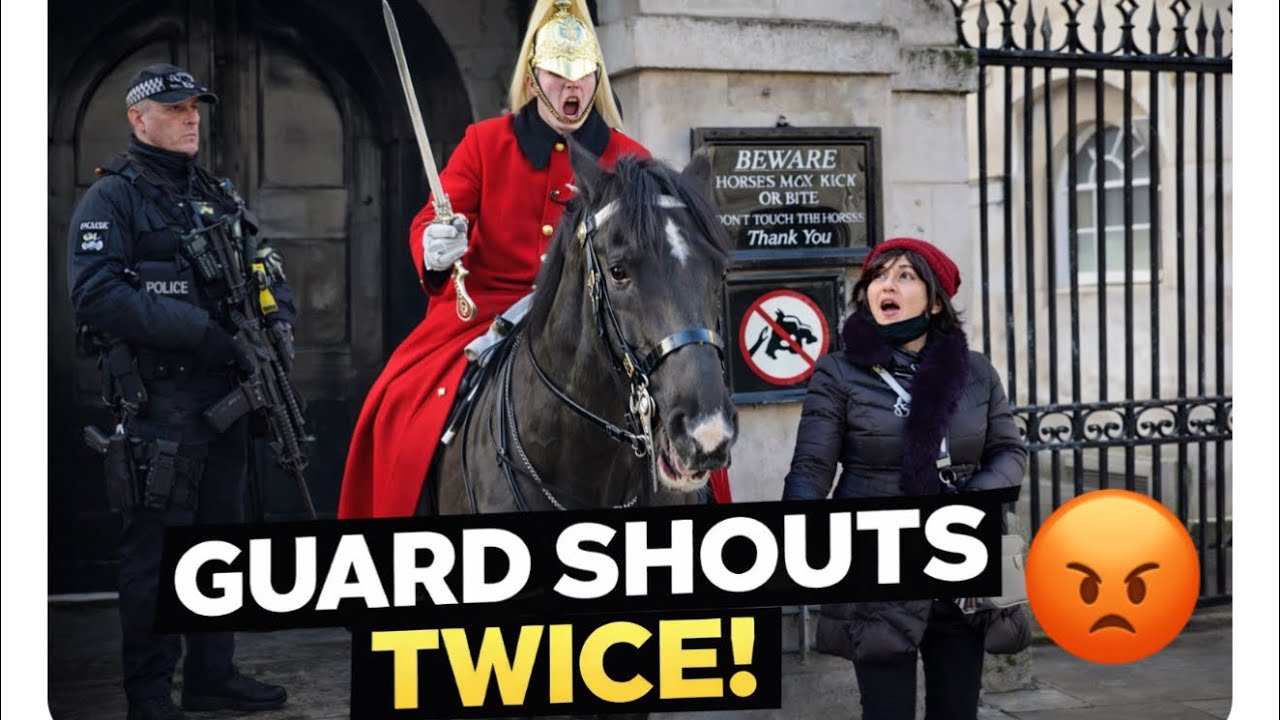 RUDE TOURIST PROVOKES ROYAL GUARD — POLICE SPEECHLESS WHEN SHE DID THIS! | Horse Guards London 