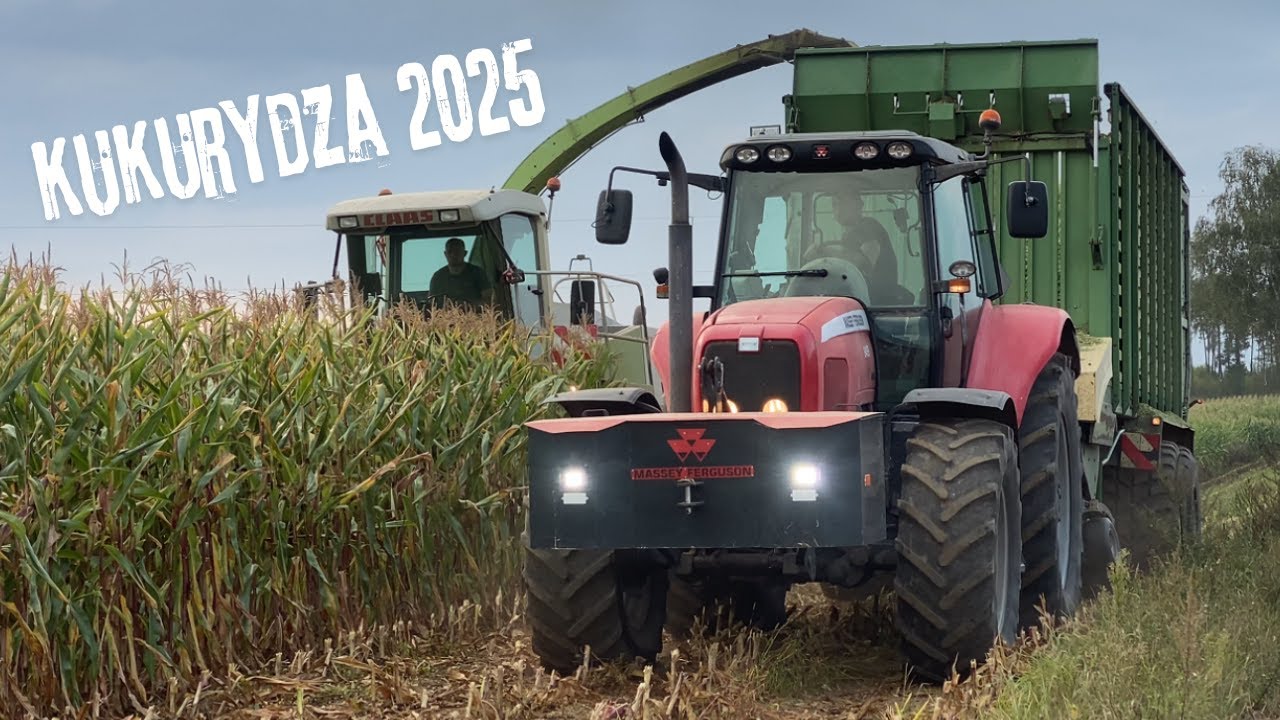 Oporowa Kukurydza Na Kiszonkę😲2025!!✔Gr Awianowicz Pużuk Bora✔Trzy Gospodarstwa Na Raz!!🔥