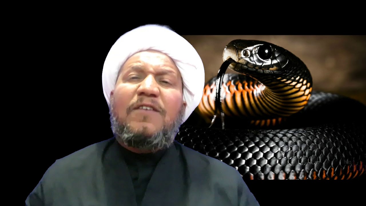 ثعبان يحاول قت؟ شخص  ولكن انقذه منه شيء بسيط .. فماهو  ؟