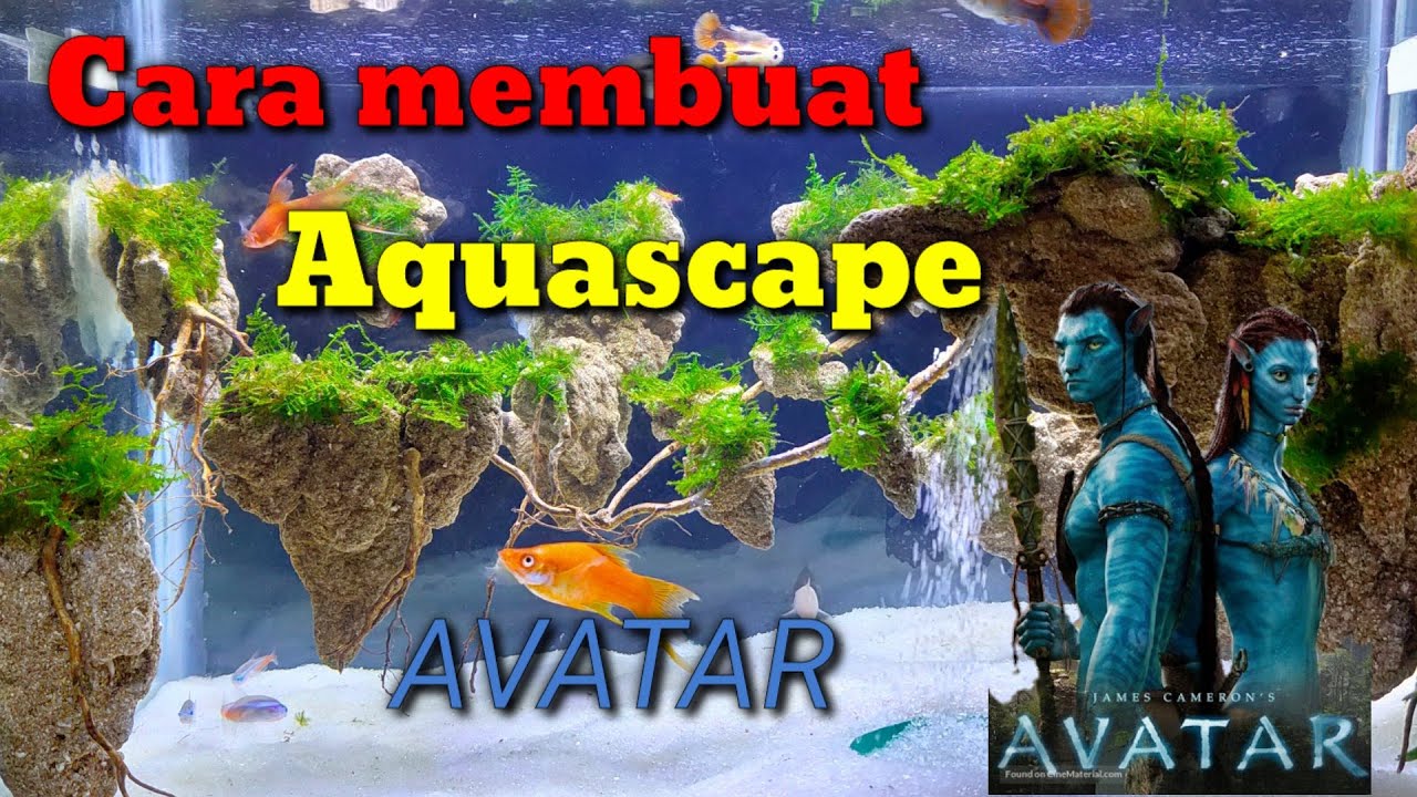 Cara membuat aquascape AVATAR