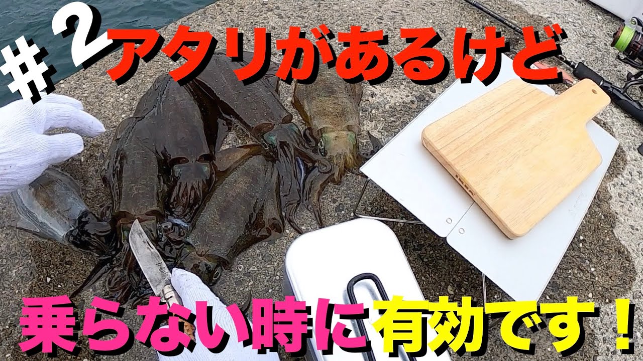 【エギング】乗らない時の対処法とメスティンで刺身定食