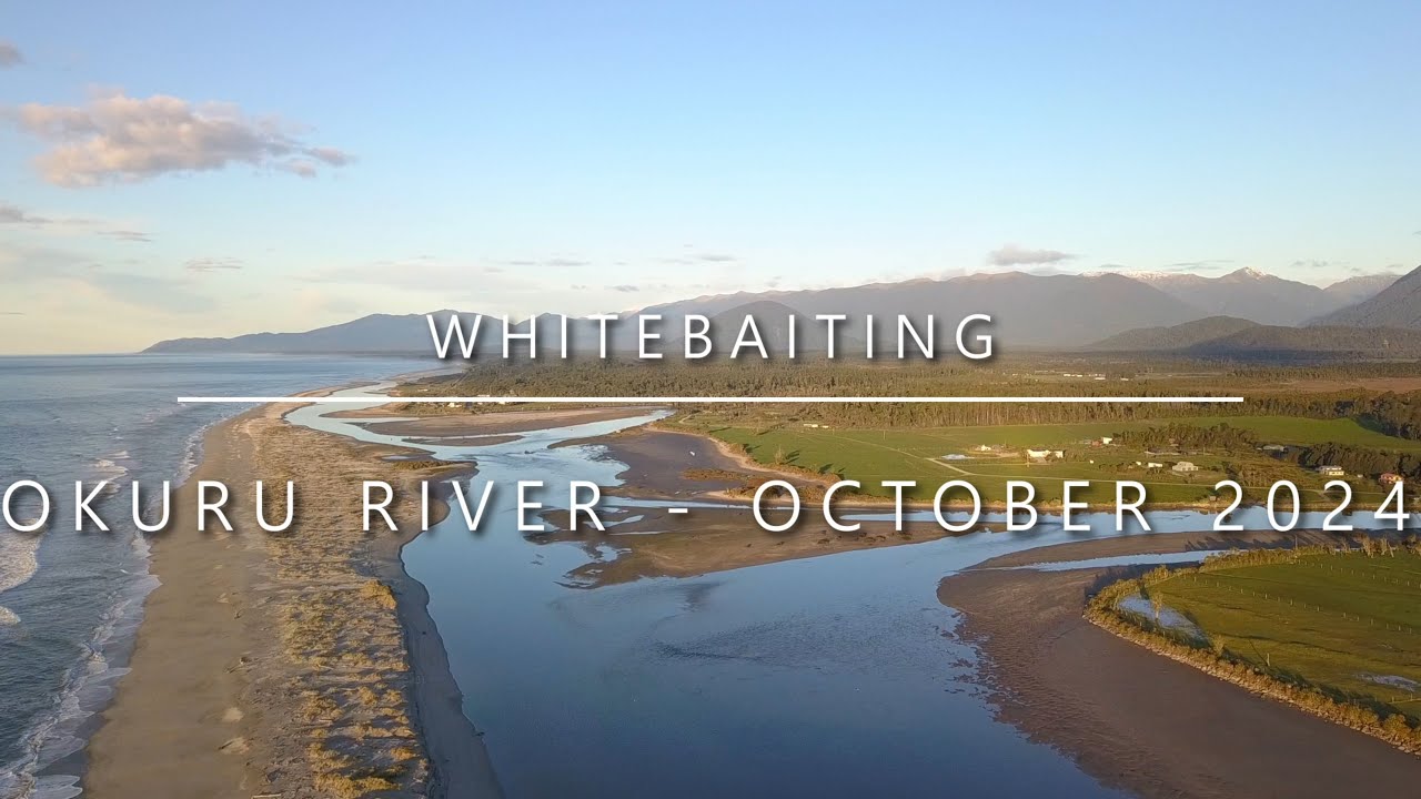 Whitebaiting the Okuru River (Haast) - October 2024 (069)