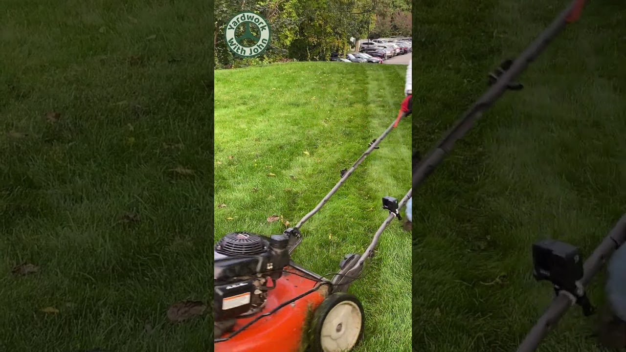 Mowing the Nice Green Grass  #grassmowing  #mow  #grass
