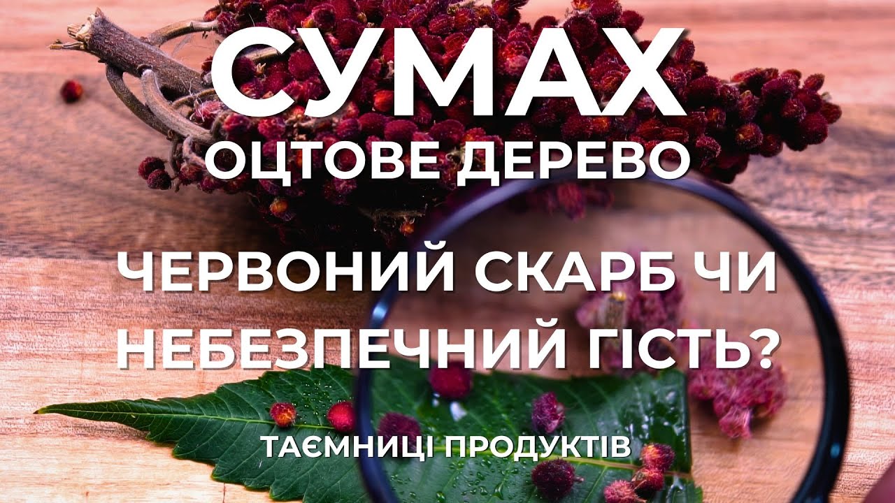 Сумах (Оцтове Дерево): Червоний Скарб чи Небезпечний Гість? | Таємниці продуктів