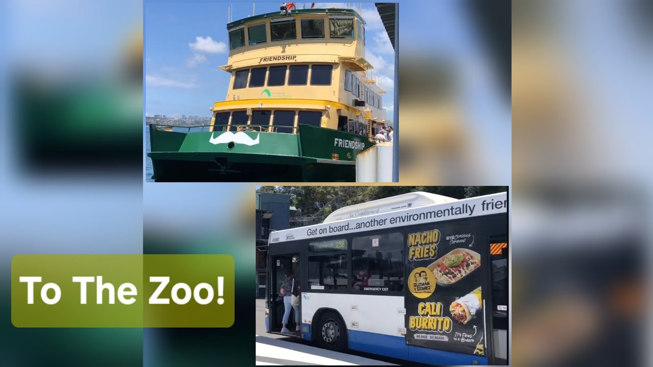 [Taronga Revenge] Vlog: Circular Quay To Taronga Zoo With Ferry and Bus