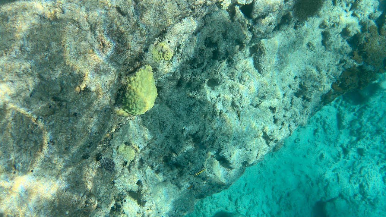 Videos from under the water of Grand Turk’s beaches 