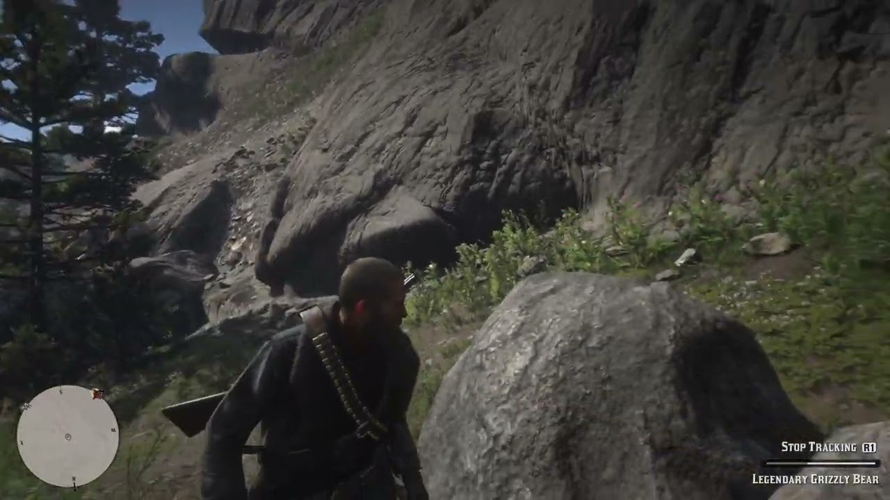 Red Dead Redemption 2_part 15