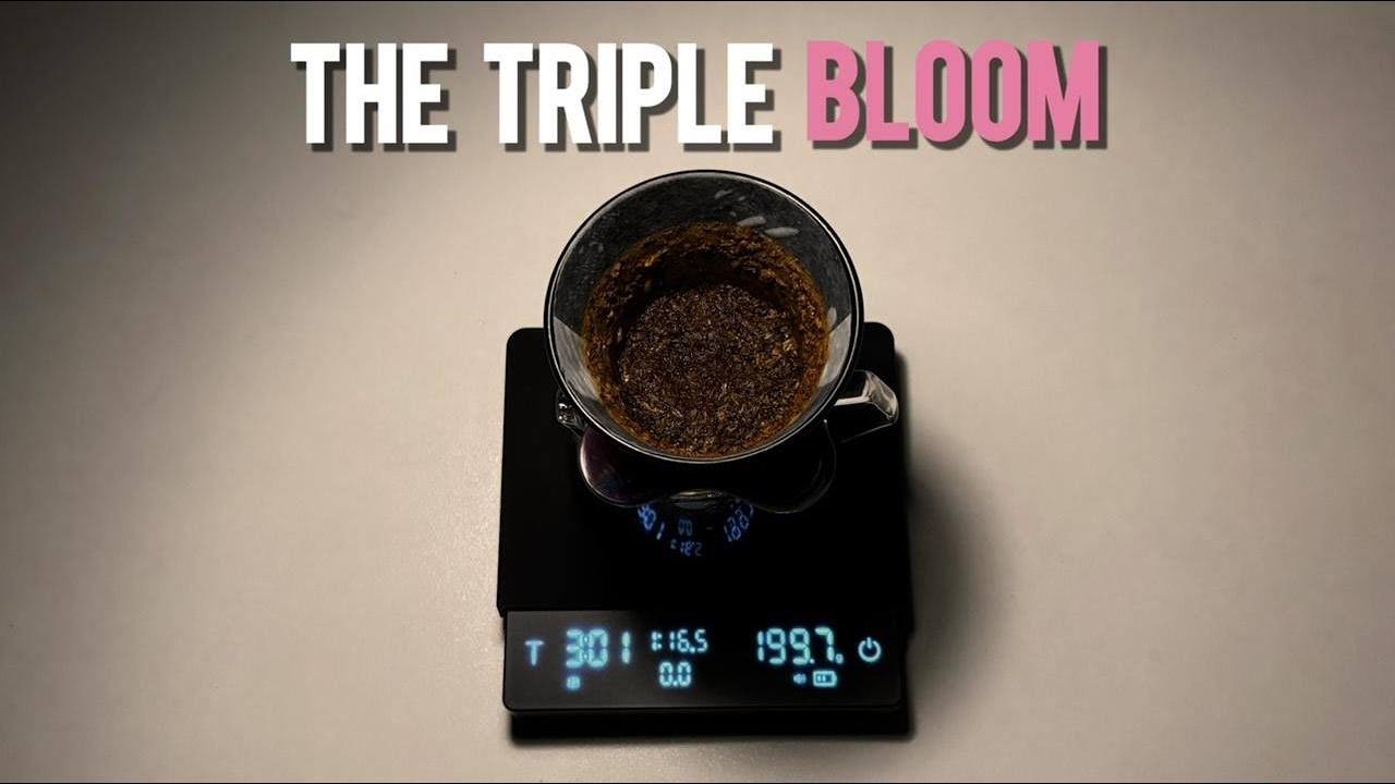 The Triple Bloom : An Easy Method to Reach Maximum Extraction