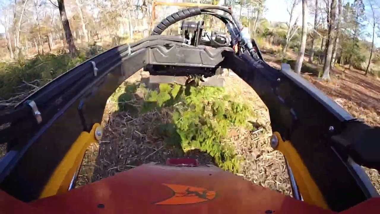 Mulching brush piles of small trees