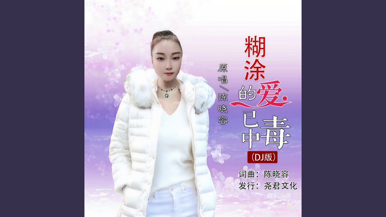 糊涂的爱已中毒（DJ版）
