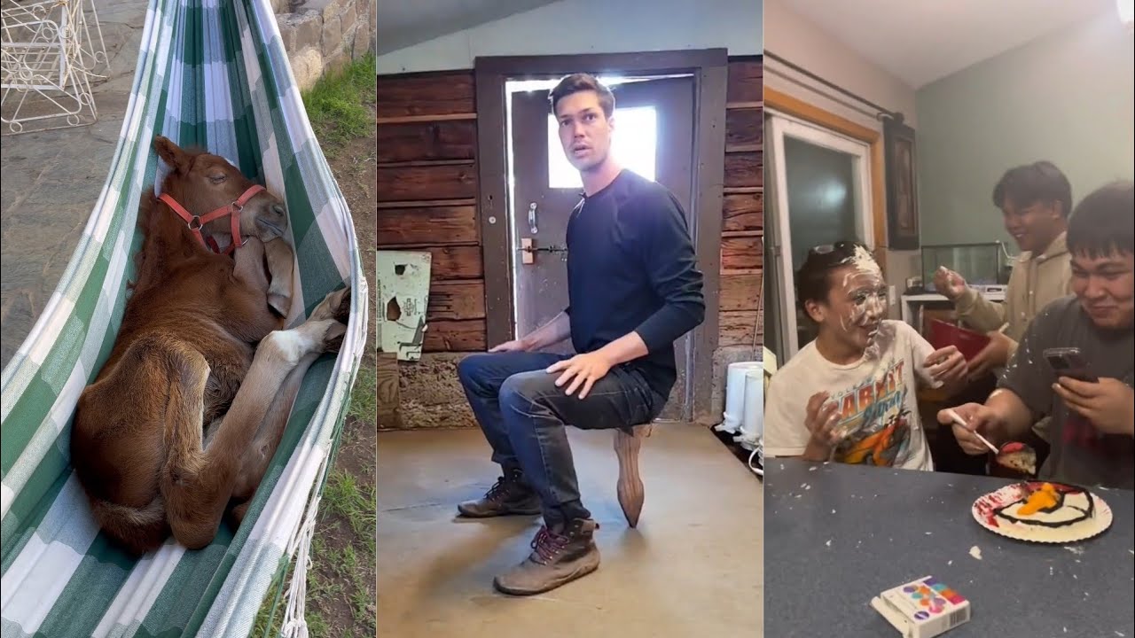 Funny Tiktoks that had me rolling on the bed 😀