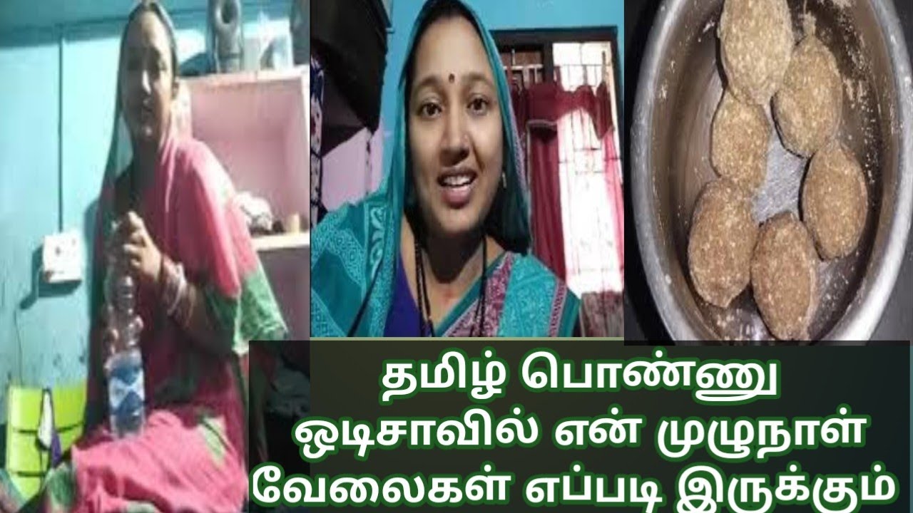 தமிழ் பொண்ணு ஒடிசாவில் என் முழுநாள் வேலை எப்படி இருக்கும் #odishaculture #video #odisha #tamil #new