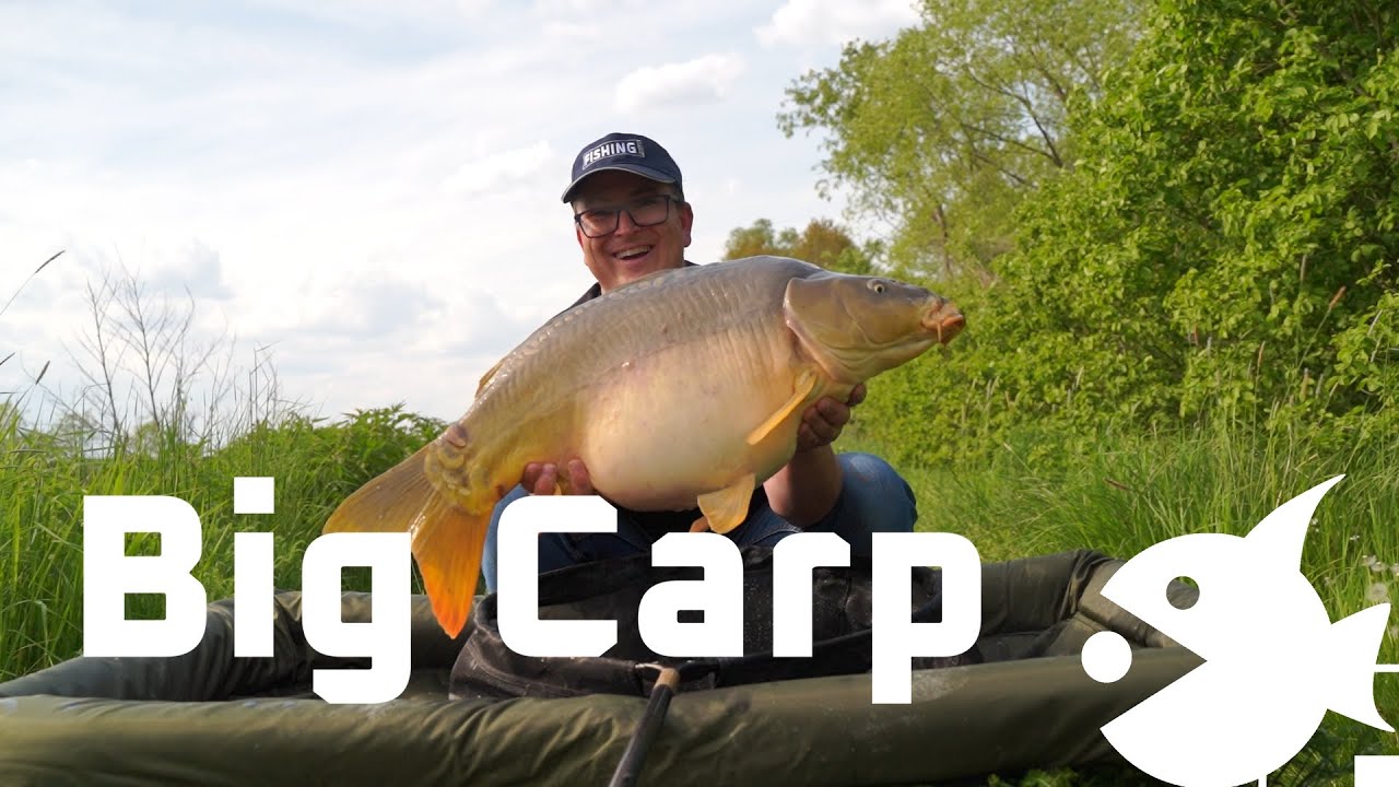Am besten auf große Karpfen mit der Matchangel und Schwimmer mit dabei Carp Secret - Fishingprofi