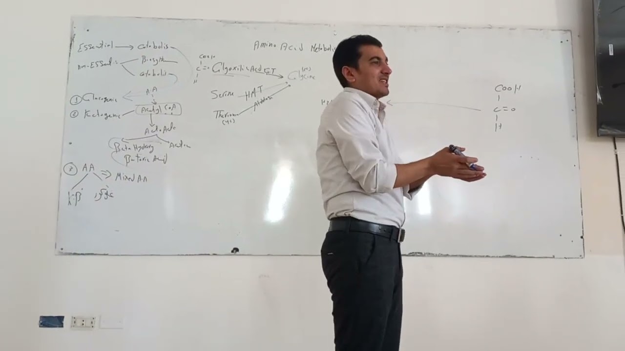 كيمياء حيوية2 المحاضرة التاسعة استقلاب الاحماض الامينية د.ابراهيم حساني